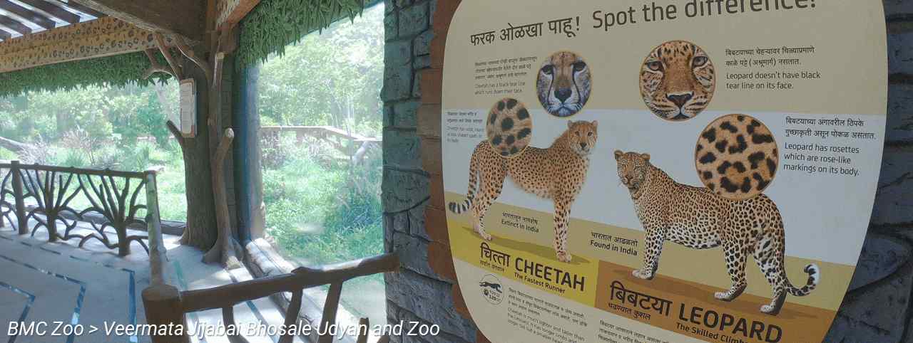 BMC Website > For Tourists > BMC Zoo